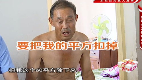 哥哥和弟弟分房产怎么分
