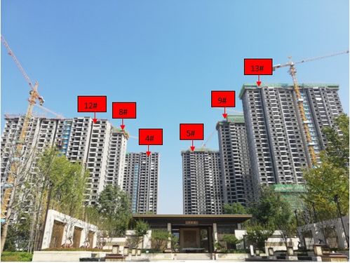 恒大房产怎么看进度的