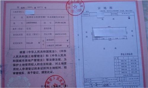 房产产权怎么填