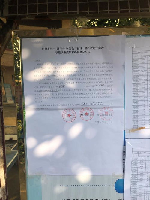怎么查房产确权登记