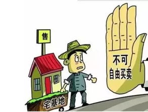 老人农村房产怎么给子女