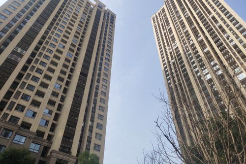 重庆三辉房产怎么样