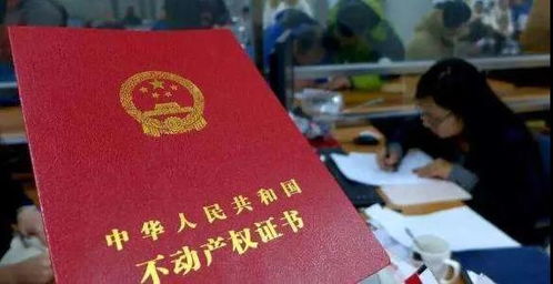 立房产怎么写