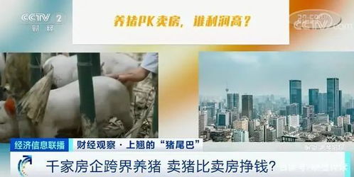 县城怎么拍房产视频赚钱