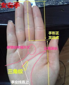 手相怎么看房产