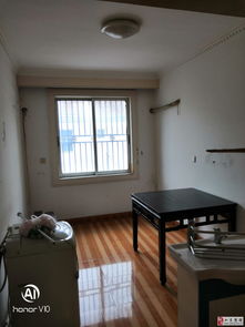 小区自建房产权怎么算