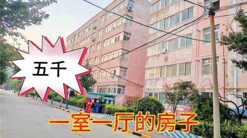 五千块钱怎么买的房产