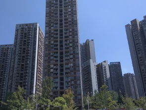 中交房产怎么样