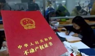 房产证怎么上网查真假啊