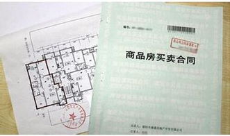 期房产权怎么查询
