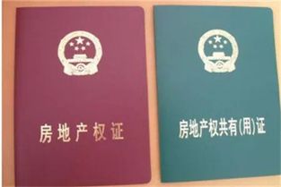 10本房产证怎么晒的