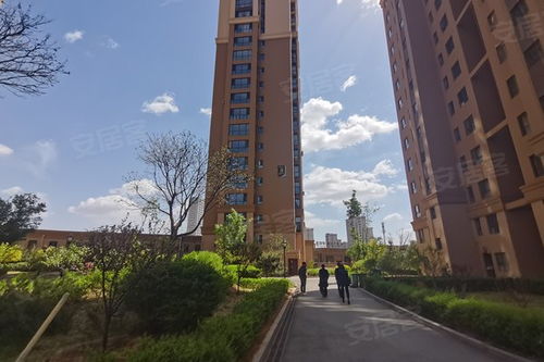 临沭儒房产中介怎么样