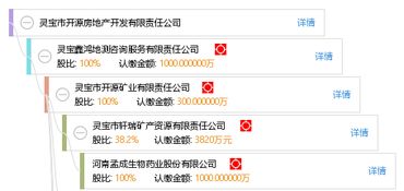 灵宝怎么查询房产