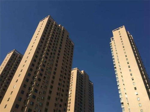 房产视频怎么不显示