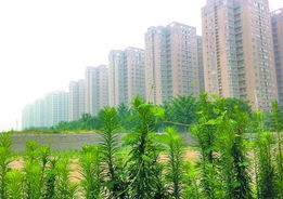 郑州家和房产怎么样