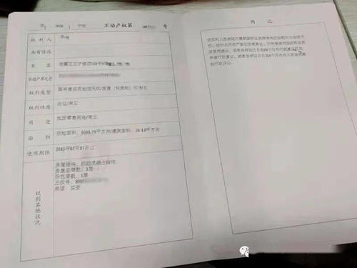 怎么查商铺的房产证号
