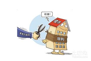 房产顾问造假怎么举报