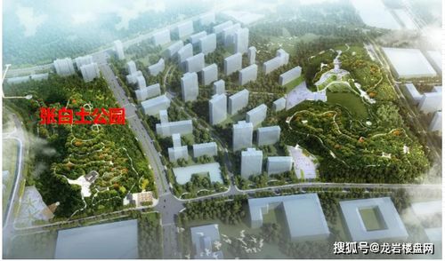 龙岩房产怎么查
