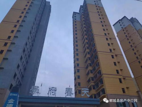 郸城个人房产怎么查