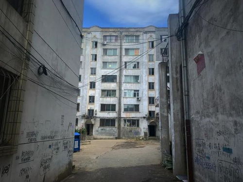 鹤岗房产怎么卖给老外