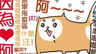 房产达人睡觉怎么睡