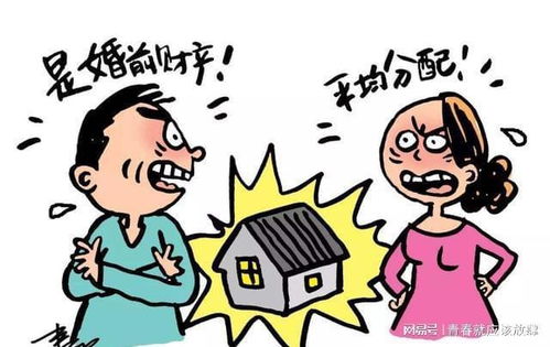 婚前共同出资房产怎么分