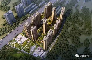 怎么查询南阳房产