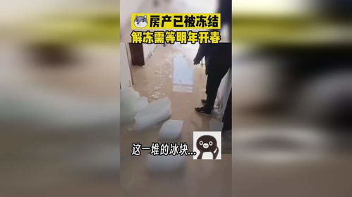 冻结的房产怎么解冻