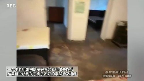 该怎么拍房产视频