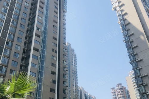 杭州文一房产中介怎么样