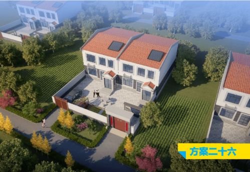村里的房产怎么分