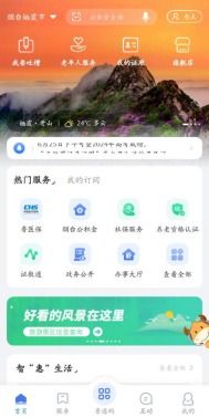 爱山东怎么查房产app