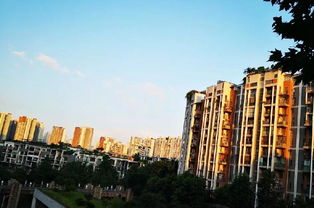 重庆怎么查询房产