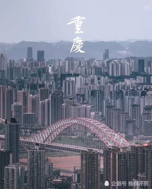 重庆怎么查询房产