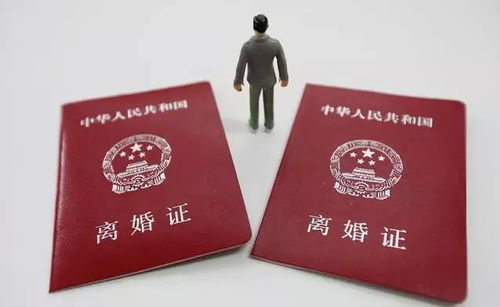 女儿有社保怎么分房产
