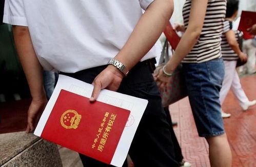 查房产权证书怎么查