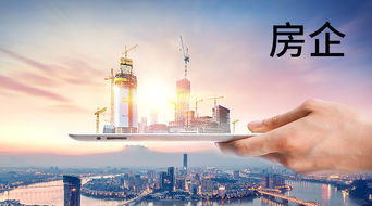 房产会怎么发展