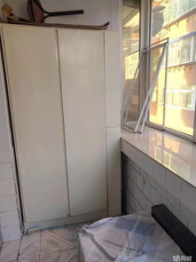 房产洗楼怎么洗