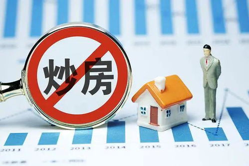 怎么查当地房产政策