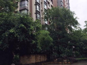 浩博房产怎么样