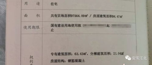 房产证上房产证号怎么查