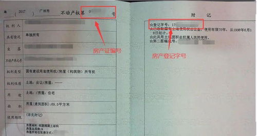 房产证上房产证号怎么查