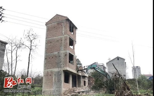 单位房产违建怎么赔偿