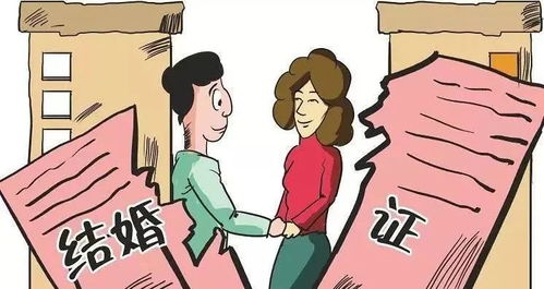 起诉后房产怎么处理二审