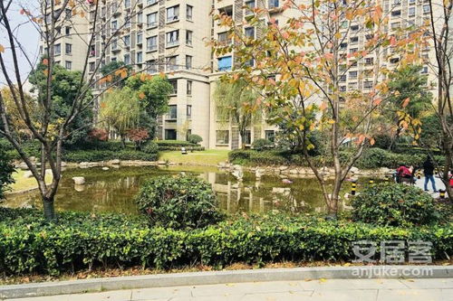 临安锦城房产中介怎么样