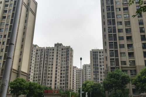 小区大房产小房产怎么分