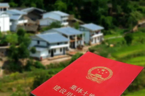 眉山农村房产怎么确权