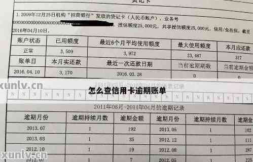 山东房产税怎么查询明细