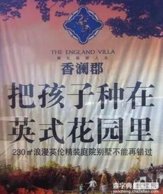 房产达人怎么宣传文案