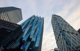 深圳房产怎么摇号